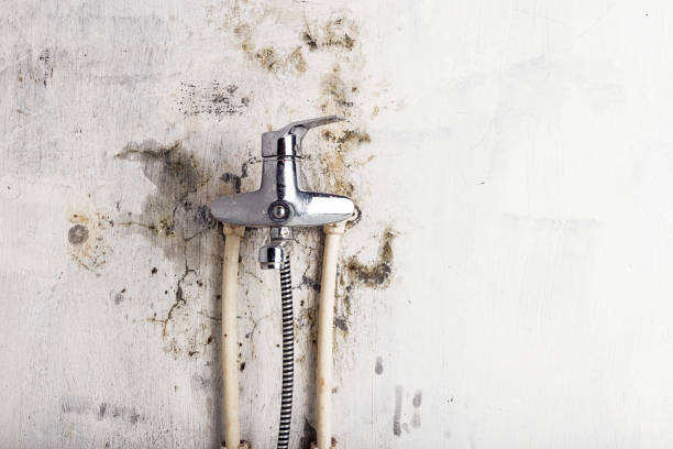 Best Mold Remediation for Schools in Simsbury Center, CT