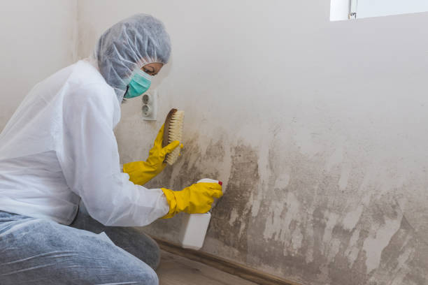 Best Commercial Mold Remediation in Simsbury Center, CT