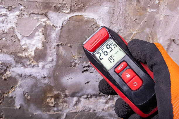 Best Residential Mold Remediation in Simsbury Center, CT