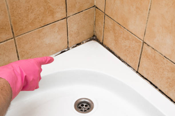Best Insurance-Related Mold Remediation in Simsbury Center, CT